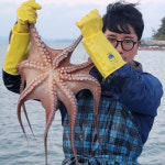 [ESC] 아는 어부와 연결되다…내 손안에 바다가 풍덩