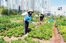 성동구, 10일까지 친환경 텃밭 도시농부 모집