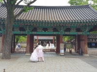 한식만 팔던 전주 한옥마을, 일식·중식·양식도 허용한다