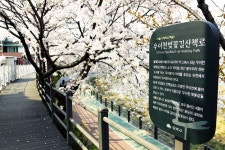 강북구, 벚꽃·예술·상권 매력에 꽂히는 축제 ‘우이천꽂히다’ 연다