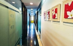 ‘금융시장 연금술사’, 버섯 전문가로 다시 출발하다