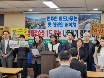 버드나무 260그루 뜯겨나갔다…“전주시의 생태 참극”