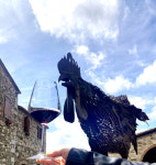 수백년 외관 그대로…“유산 지켜야, 결국 와인 맛으로 이어져”