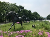 [배정한의 토포필리아] 도시와 함께 성장하는 공원, 서울숲