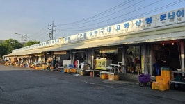 막창골목·양돈업계 날벼락…대구, 공립도축장 폐쇄 결정