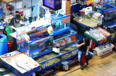 ‘알프스’ 안전성 우려 여전…‘방류과정 감시’ 최우선 과제