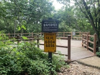 도봉구 “초안산‧쌍문근린공원 산책로에 국가지점번호판 설치”