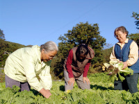스스로 곡기를 끊고 죽음을 맞이한 이들의 확신