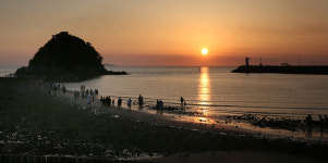 서양 억새 아래 인생사진 찰칵…‘인스타 핫플’ 태안