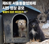 동물의 집은 어디인가? 서울동물영화제, 시민 영상 공모