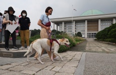 국회 간 도담이와 바겐이…“반려견과 식용견, 따로 있나요” [포토]