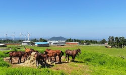 낮과 밤 15도 벌어진다, 가을 나들이 겉옷 필수