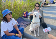 [현장] “왈왈” 관객 평점은요?…반려견 동반 상영회 가보니