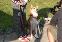 [현장] “왈왈” 관객 평점은요?…반려견 동반 상영회 가보니