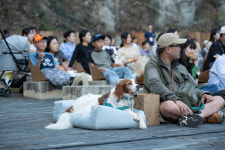 [현장] “왈왈” 관객 평점은요?…반려견 동반 상영회 가보니