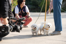 [현장] “왈왈” 관객 평점은요?…반려견 동반 상영회 가보니