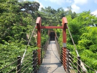 종로구 “북악산·인왕산, 100대 명품숲에 선정”
