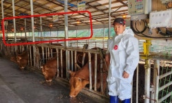 살처분 소 1만리터 통에 담아 ‘보관’…‘럼피스킨’ 충청·경기 확산