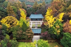 관악구, 챗GPT가 추천한 단풍명소 5곳 소개…“관악산, 낙성대공원, 서울대학교 캠퍼스, 성현로, 관악로”