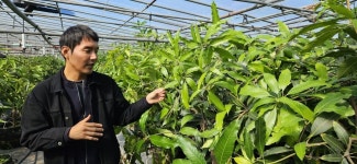 망고·파파야·구아바…‘아열대농업’이 뜬다