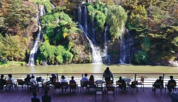 도심 속 폭포와 카페, 도시의 ‘핫플’ 됐다