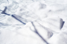 [책&생각] 겨울은 으레 오지 않는다, 겨울이 비로소 온다