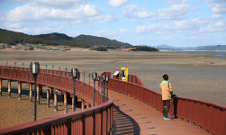 습지엔 생명, 사람엔 평화…수몰지·갯벌의 ‘위대한 탄생’ [ESC]