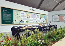 “뇌에 직접 전달되는 ‘향기’, 감정 치료 가능성 높여”