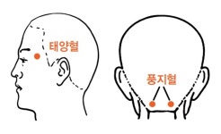 “뇌에 직접 전달되는 ‘향기’, 감정 치료 가능성 높여”