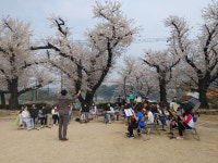 신입생 끊긴 부산 작은 학교 살려낸 ‘자유통학구역’…학부모·학생 95% “만족”