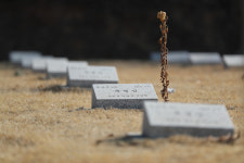 전몰자 묘지 위 용서와 화해를 위한 노력