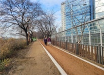 영등포구, 안양천 맨발 황톳길 조성·개방…“총 길이 600m, 세족장과 신발장 갖춰”