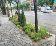 영등포구 “당산로, 영중로, 영등포로 등에 ‘정원형 띠녹지’ 조성
