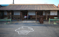 옥수수커피를 아시나요? 오징어 고장 주문진의 명물이 되다!