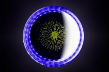 온천장의 결투…“아무나 못 들어가”