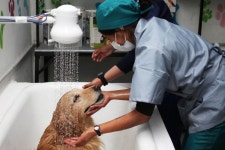 “고객님 시원하시죠” 재소자에 희망 안긴 교도소 애견미용실 [포토]