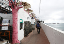 해풍 맞아 더 바삭한 걸까…왕의 밥상 부럽잖은 해변의 붕어빵