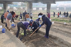 금천구, 안양천·광명 도시농업체험장 텃밭 분양