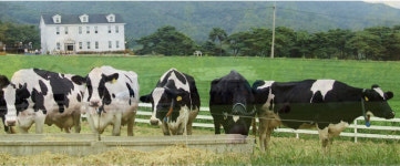 말 타고 고라니와 뛰어놀고 당나귀와 산책해볼까