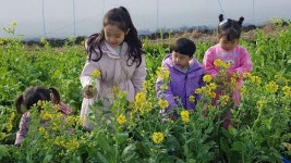 “들어봤제, 강진 반값가족여행? 시즌2 시작헌께 언능들 신청하소”