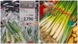 “마트가 더 싸” 손님 떠나고, 정부 지원 소외…시장 상인들 한숨