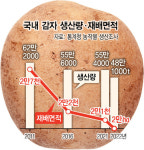 감자도 위험하다…“씨감자 못 심은 3월은 처음”