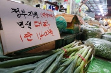 “‘대파’만 없었어도 20명 살아왔을 것”…국힘, 용산 책임론 부글