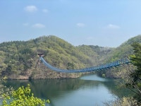 진천 초평호에 용 내려왔다…국내 최장 ‘미르309’ 개통