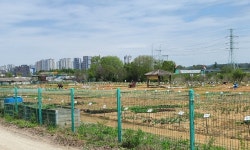 “녹지 없어 공원 만드는데”…그린벨트 해제하고 공장지대