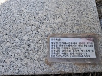 172명 파병군인 ‘현충원 묘지’에…전우의 빈자린 여전히 남아