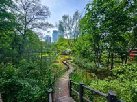 서초구, 우면산 서초약수터~국립국악원 ‘우면산 무장애숲길’ 개장