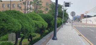 4년짜리 단체장이 100살 나무 뽑아…‘파묘’ 같은 충북도청
