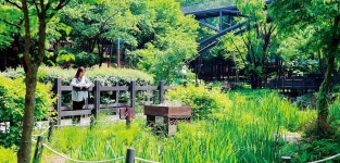 ‘숲길과 연못, 책’이 있는 도심 속 피서지