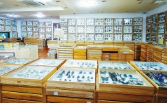 꽃보다 어여쁜 나비 보면 마음은 어느새 ‘어린 시절’